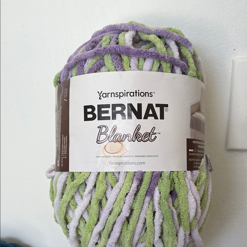 Bernat Blanket Yarn in Green and Purple